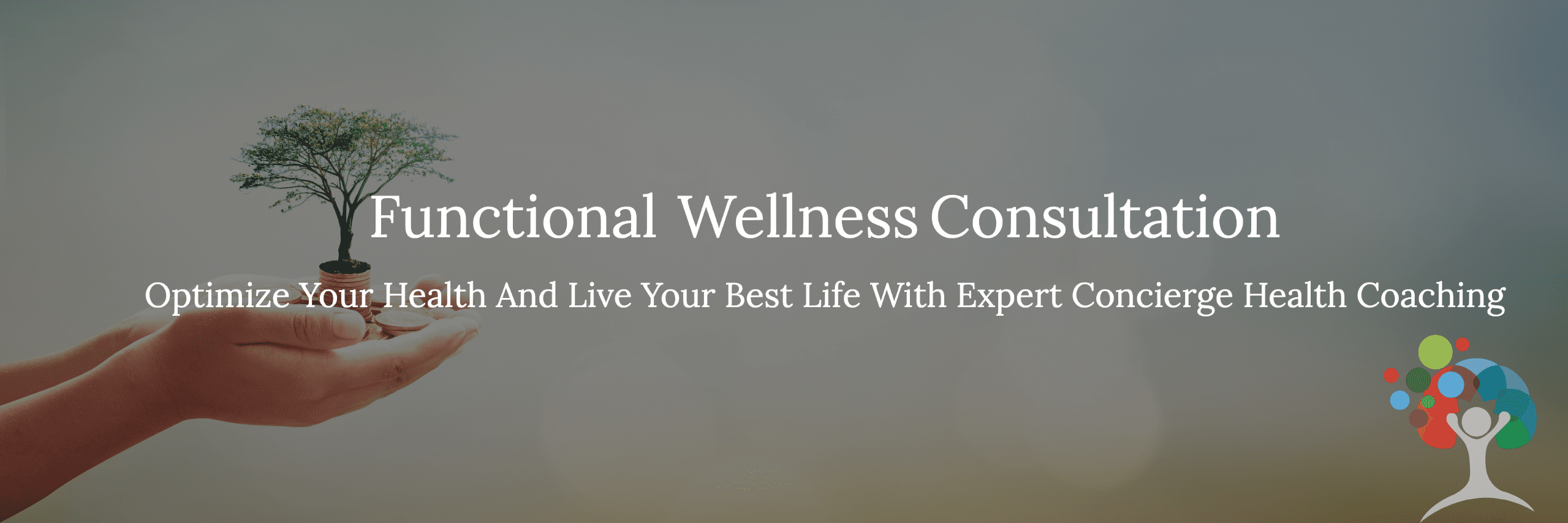 Functional Medicine Wellness Consultation